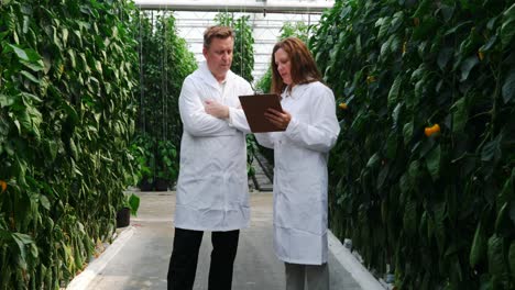 scientists discussing over clipboard in the greenhouse 4k