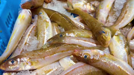 pescado en hielo en el mercado australiano de mariscos