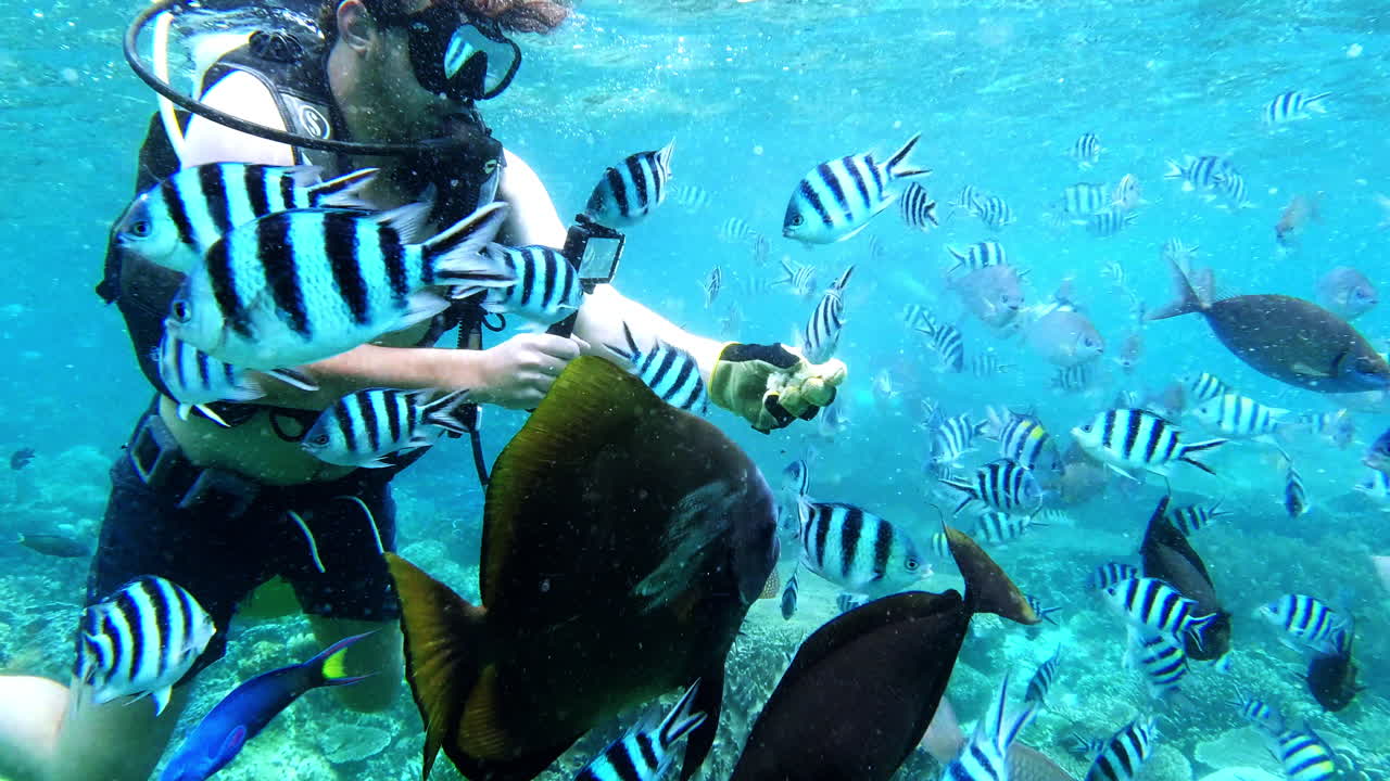 스쿠버 다이버 가 카메라 로 비디오 를 녹화 하고 있다