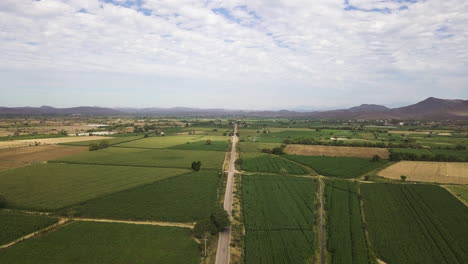 Straight-rural-road-that-crosses-vegetable-fields-landscape