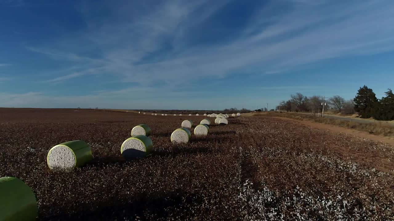 toma aérea de drones de barrido de una granja de algodón del medio oeste con pacas frescas de algodón cosechado envuelto en material amarillo brillante contra un cielo azul abierto