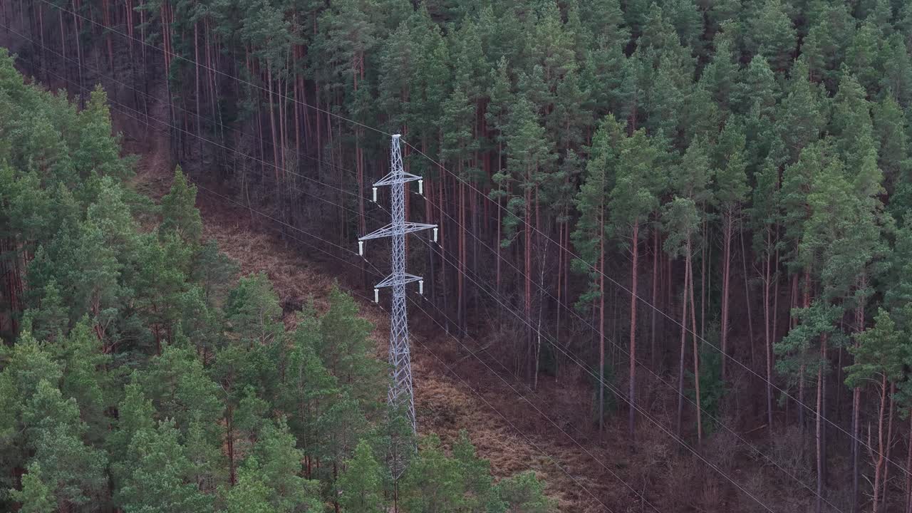 High voltage power lines in middle of Lithuania forest, aerial view