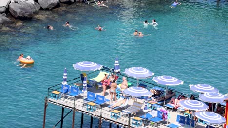 people enjoying the sea and sun