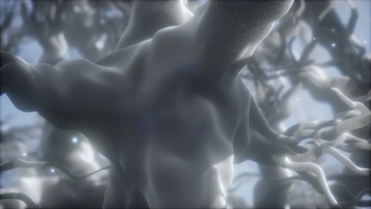 뇌 안의 신경 세포 네트워크를 통해 여행합니다.