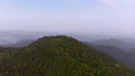 흐릿한 배경을 가진 무성한 녹색 산봉우리 - 궤도를 도는 드론 샷