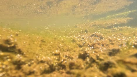 clear stream flowing over rocky terrain