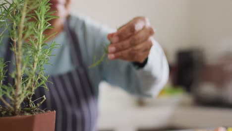 Asian-senior-woman-putting-rosemary-herb-over-vegetable-salad-in-the-kitchen-at-home