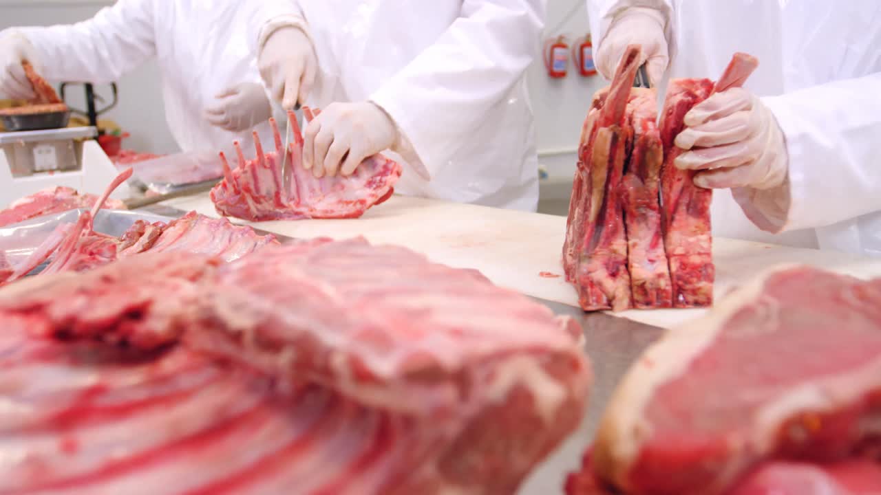 일하는 도살자 팀