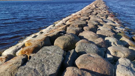 seagull eating fish on rock path stretching into the ocean