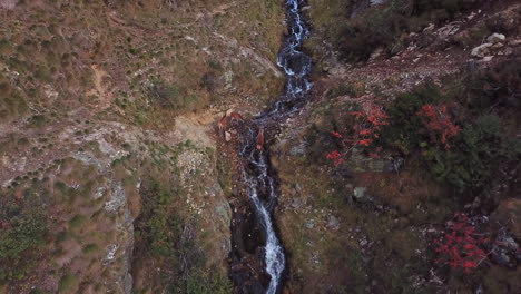 aerial drone shot of a pack of deers drinking fresh water from a mountain creek