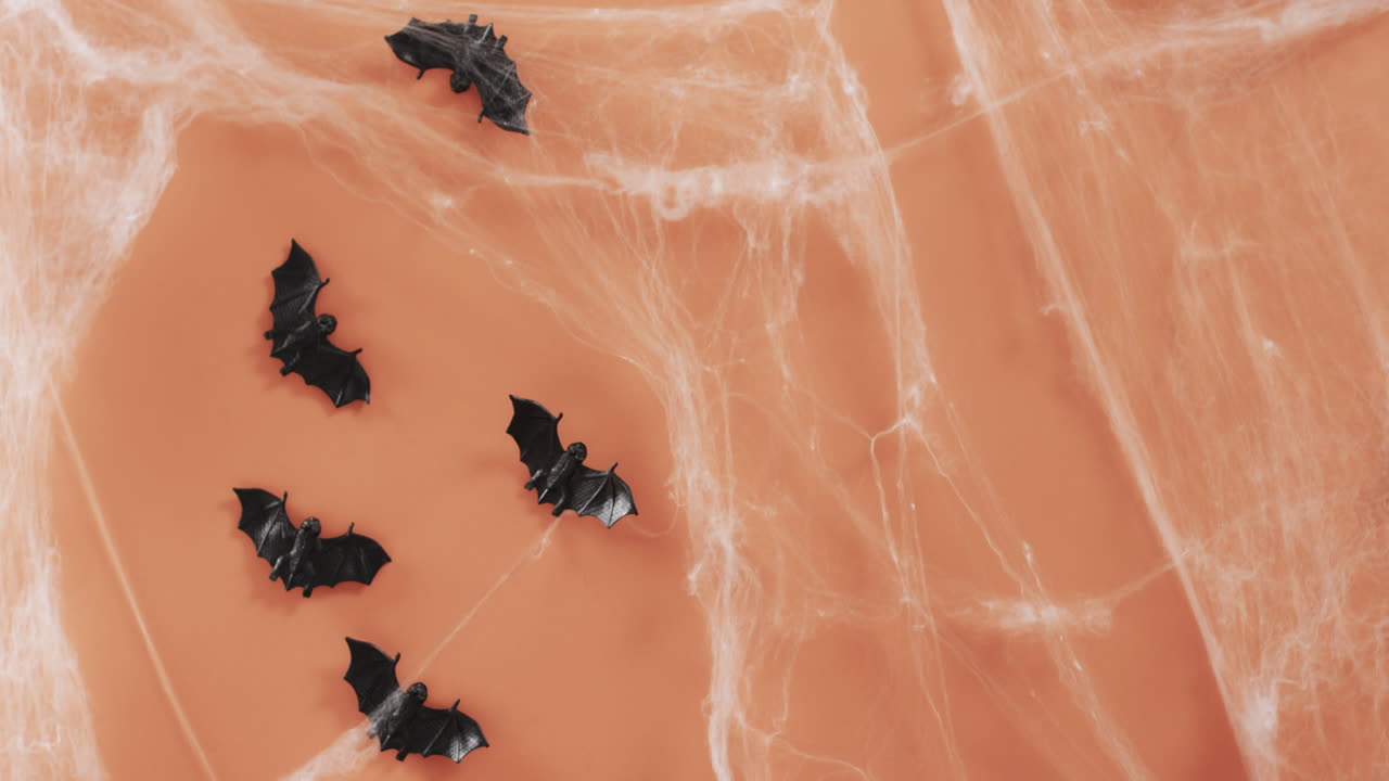 video de murciélagos de halloween y telaraña y copia de espacio en fondo naranja