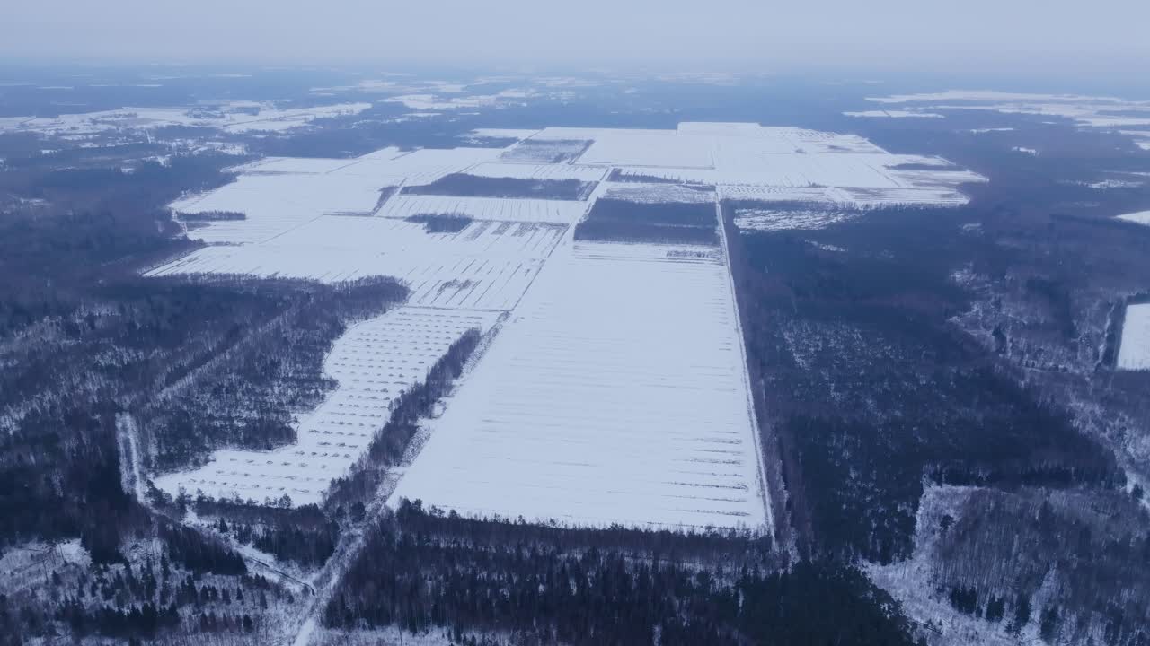 Misty drone view over snowy rural Latvia reveals winter farming and forest lines