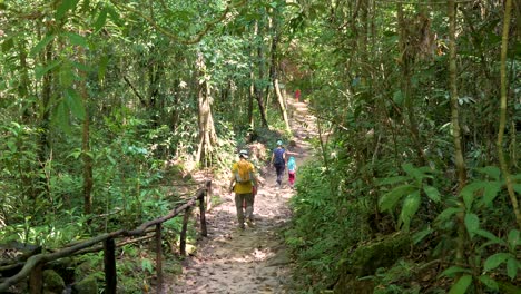 family with young children trekking through the thai jungle