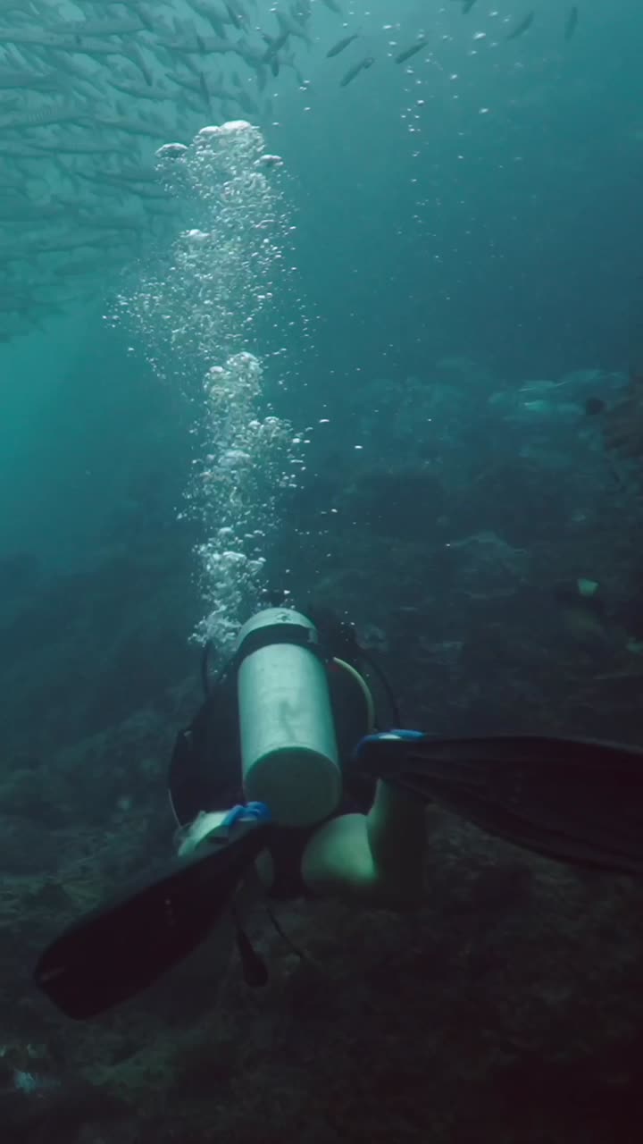 Scuba Diver Exploring Underwater