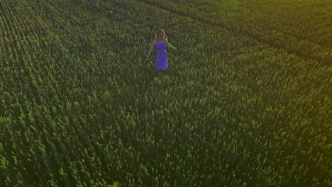 Happy-woman-running-in-summer-field.-Young-woman-running-field