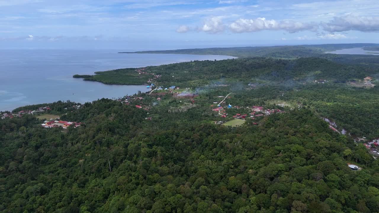 Drone aerial view of trees tropical rainforest jungle west sumatra Mentawai Islands Regency indonesia