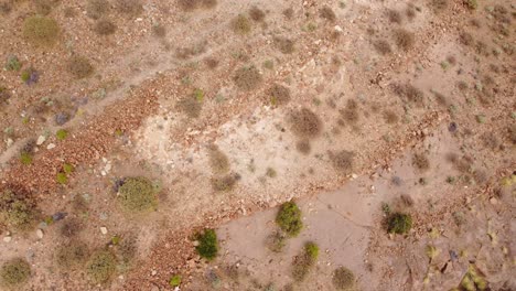 top-down aerial of arid, desert landscape of tenerife, canary islands