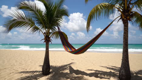 relaxing beach hammock under palm trees
