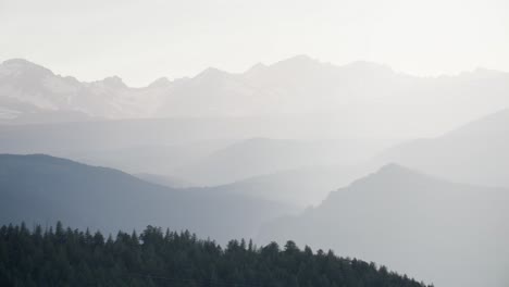 panning shot of misty mountains in the background and trees foreground