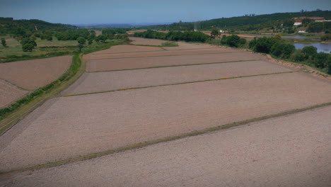 Reisfeld-Drohnenaufnahme-In-Zeitlupe