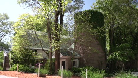 hanging-vines-on-barn-silo-stock-video-footage