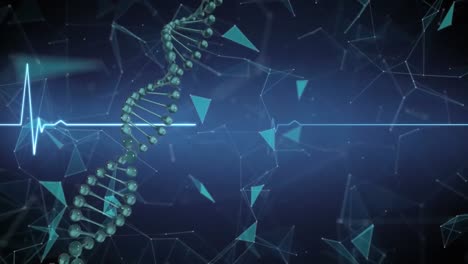 cadena de adn giratoria sobre el monitor de latidos cardíacos azul y la red de datos