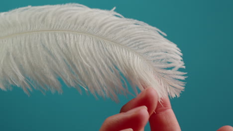white feather held in hand