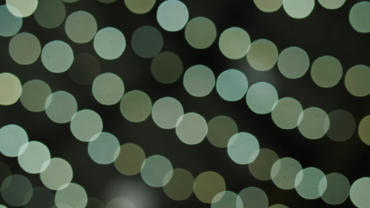 노란색으로 분화 된 원형, 검은색 바탕에 자연스럽게 떠다니는 유기적 추상적인 입자, 보케와 함께 반이는 입자, 크리스마스 및 새해 축하, 느린 동작.