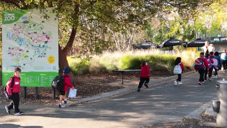 children exploring zoo with teachers in melbourne