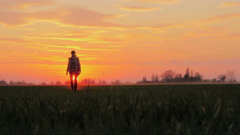 a confident farmer walks across the field towards the rising sun against the backdrop of picturesque