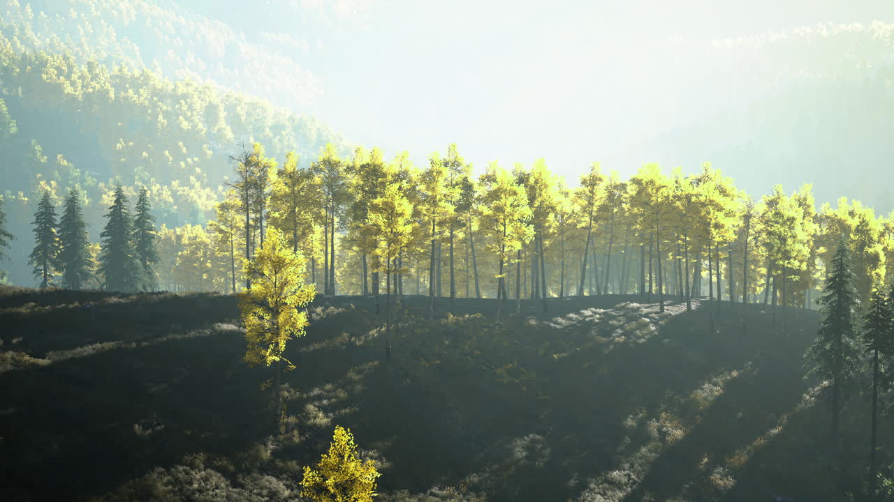 Majestic golden trees bask in soft morning light on a serene hillside