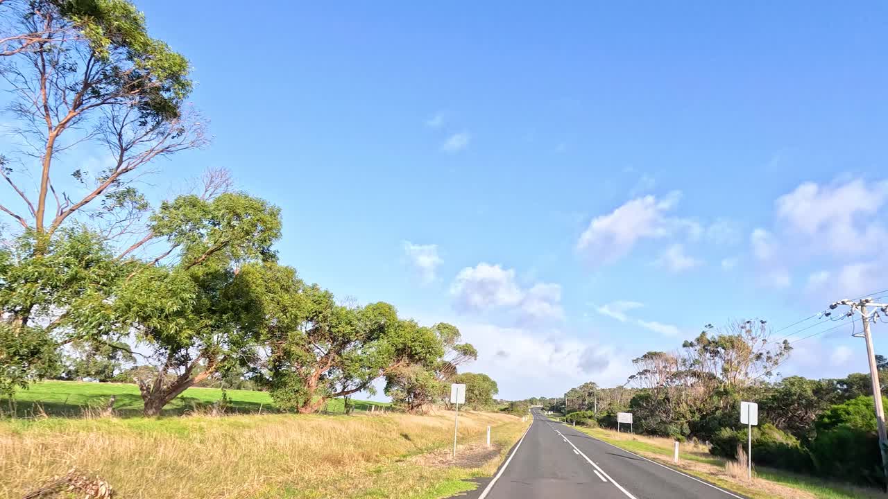 울창한 풍경을 가로질러 평화로운 운전