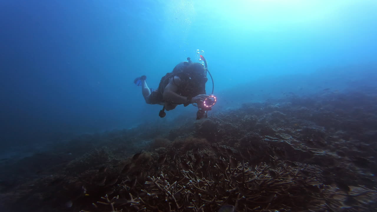자연과 하나가 되는 것입니다.