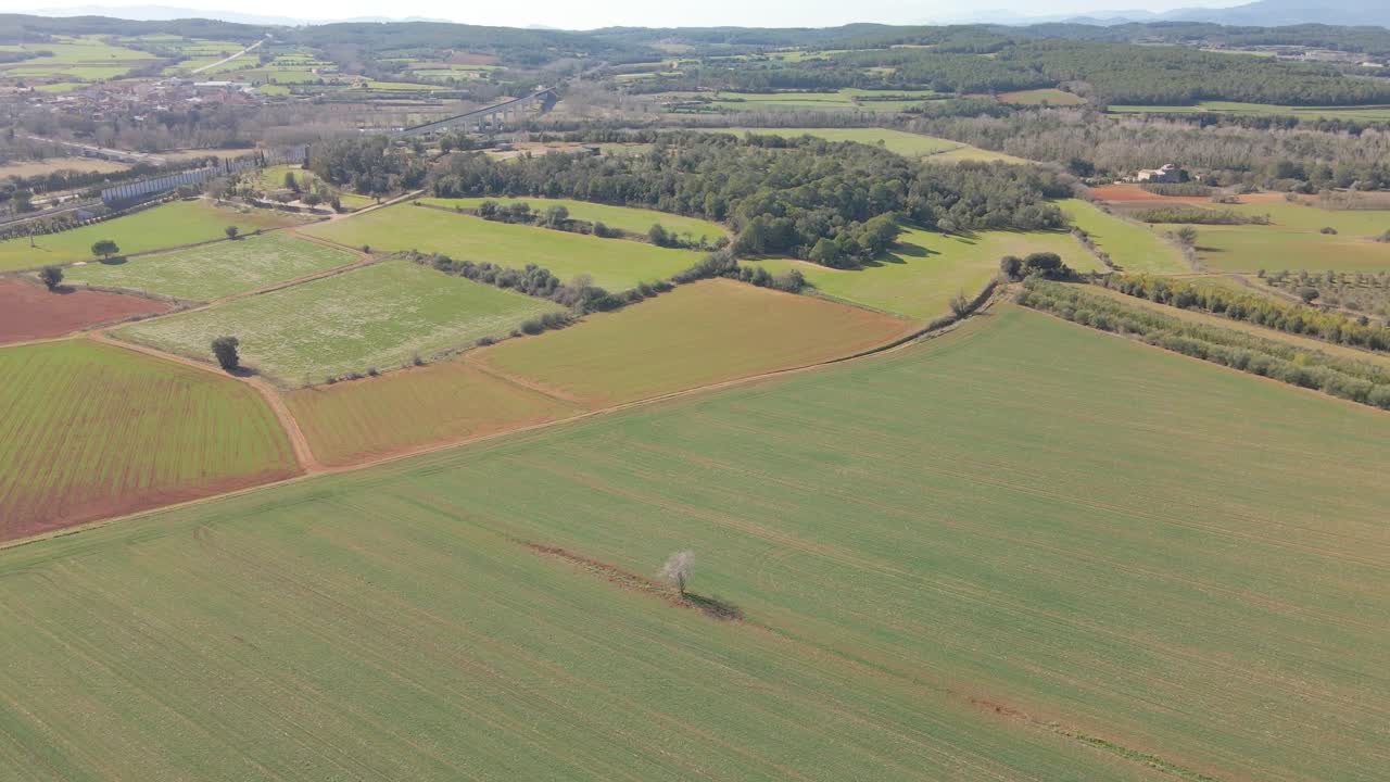 Aerial views with drone of a field in the area of Girona Spain green landscape nature organic farming Flights ahead mountains in the background