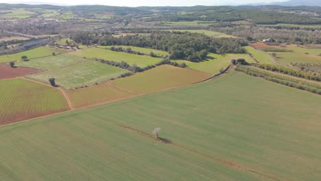 Vistas-Aéreas-Con-Drones-De-Un-Campo-En-El-área-De-Girona-España-Paisaje-Verde-Naturaleza-Agricultura-Orgánica-Vuelos-Por-Delante-Montañas-En-El-Fondo