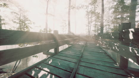 wooden bridge in the forest in the fog