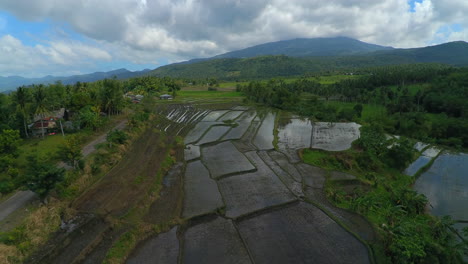 Una-Foto-De-Un-Dron-De-Algunos-Campos-De-Arroz-En-Un-Barrio-De-Buhi-Bicol-Filipinas