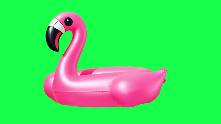 Animated Pink Flamingo Pool Float on Green Screen
