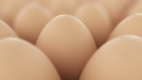 Eggs-seamless-animation.-Perfect-for-anything-related-to-healthy-food,-easters,-eggs-production-and-food-industry-in-general.-Huge-amount-of-chicken’s-eggs-standing-one-next-to-another.-Loopable.-HD