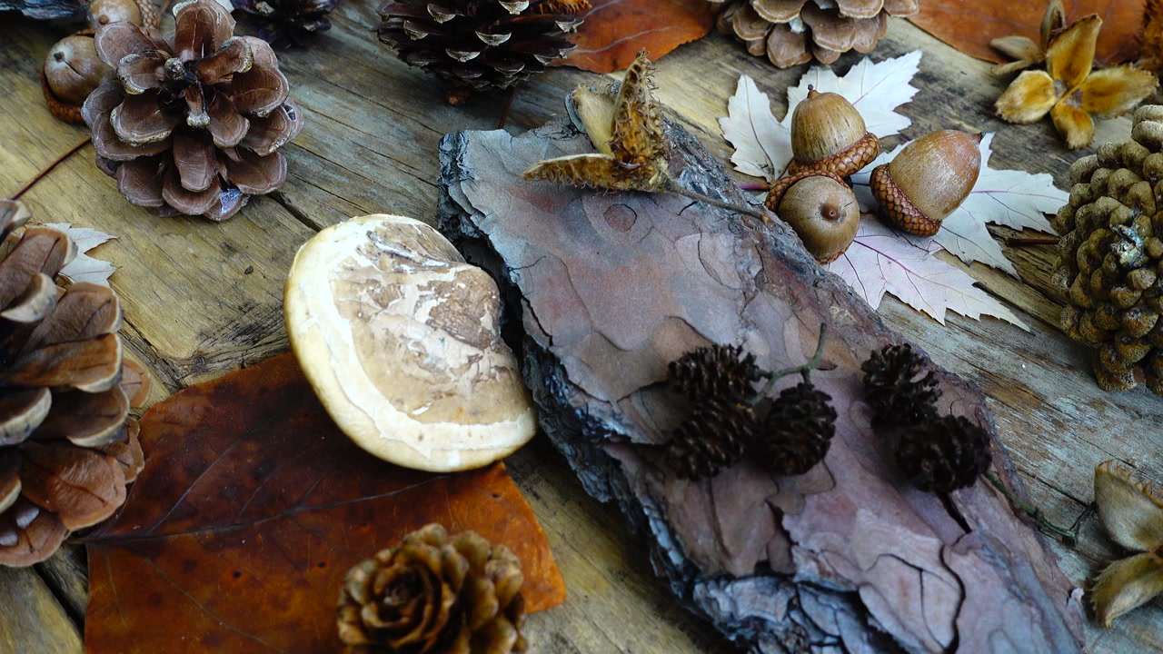 Autumn still life on a wooden vintage board.