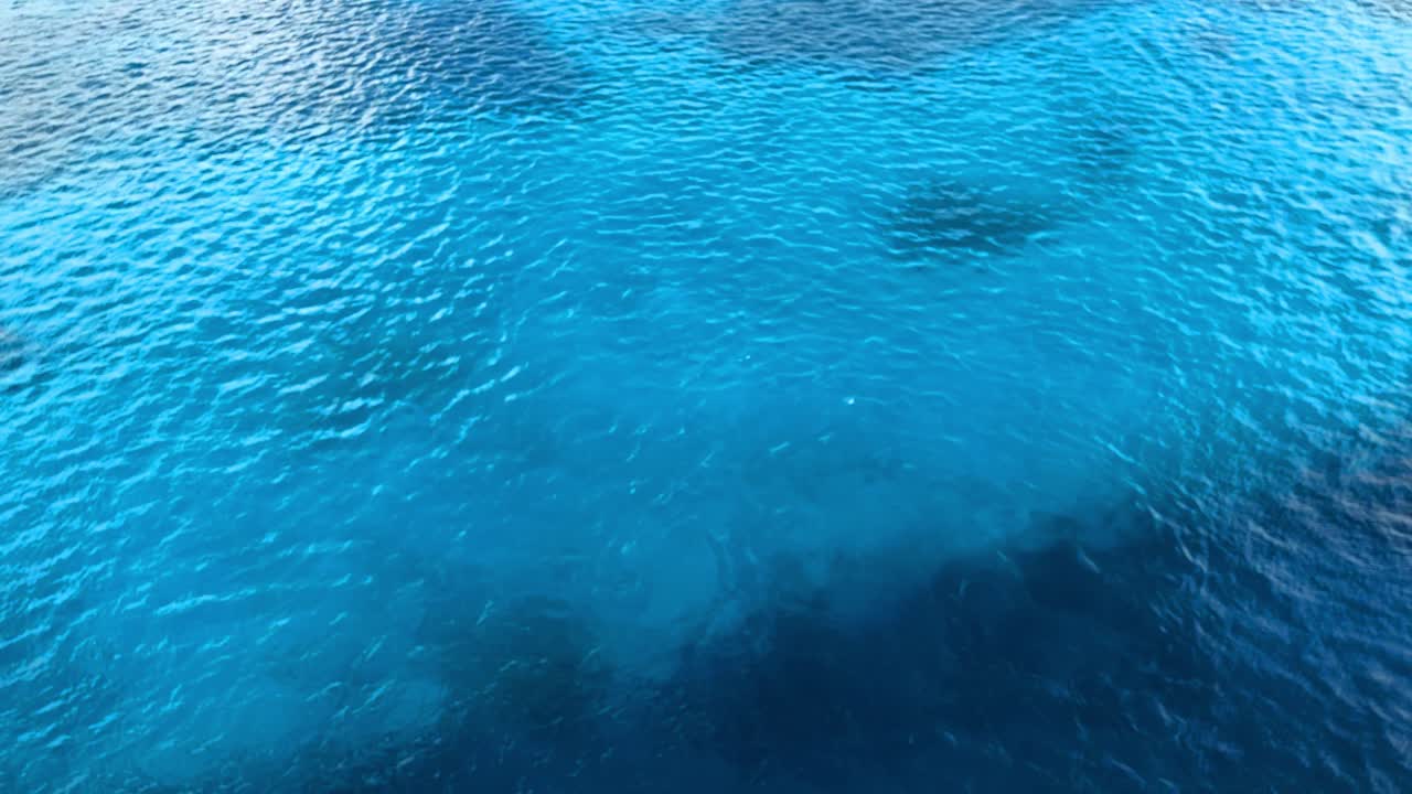 más de 40 pies de agua y puede ver los detalles del fondo del puerto, fondos coralinos y arenosos.