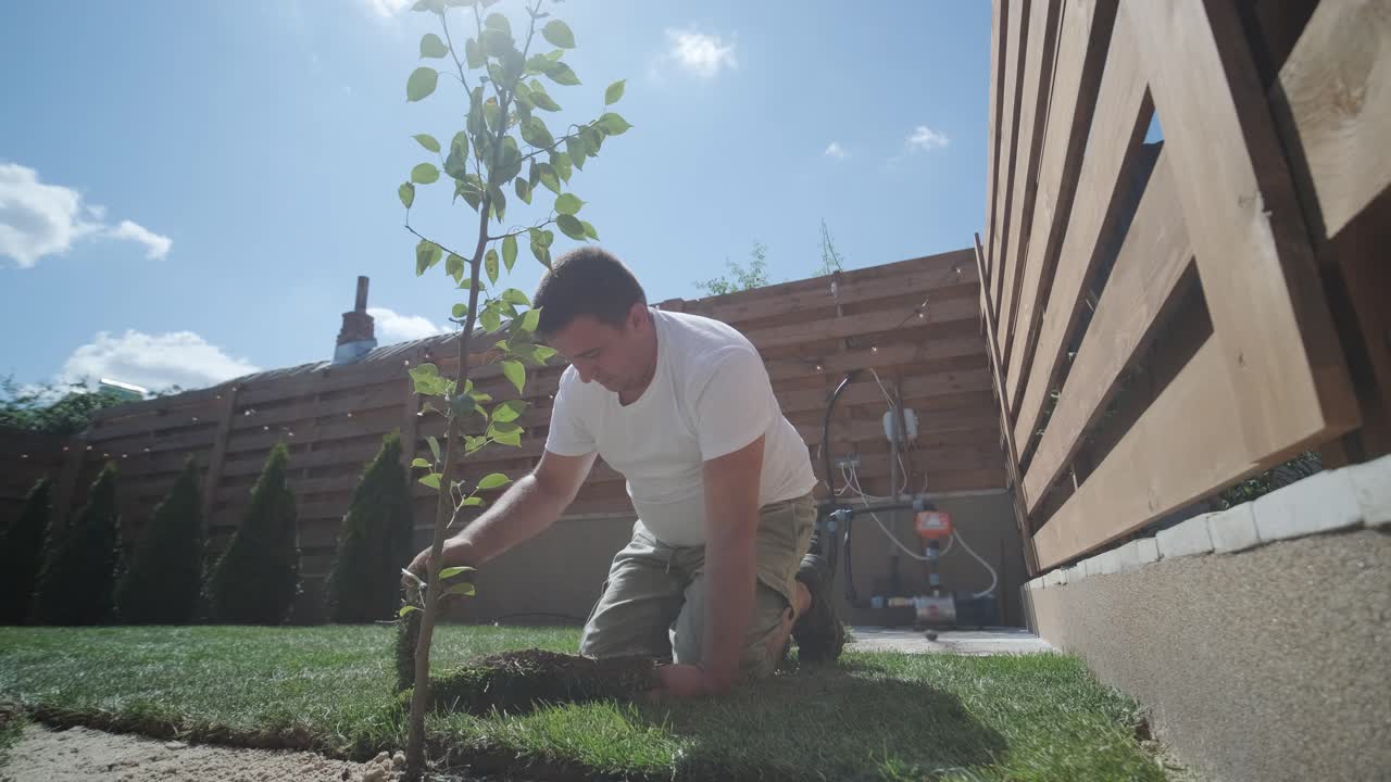 Gardener Laying a Roll of Natural Lawn Turf