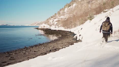 Scenery-View-of-A-Man-Walking-With-His-Dog-On-A-Seashore-At-Trondheim-Fjord,-Norway-On-Sunny-Day