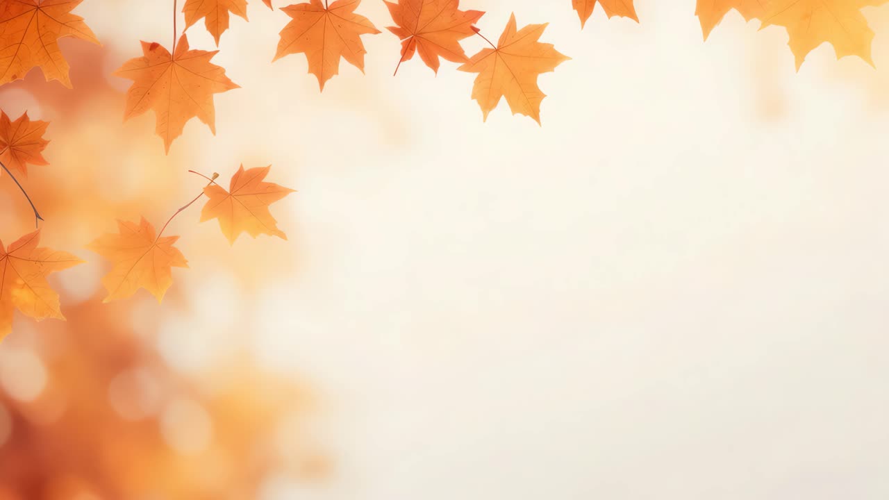Autumn leaves against a soft, blurred background. Shot from a low angle, this serene scene