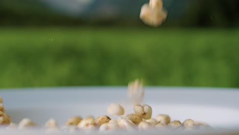 Veganes-Müsli,-Das-An-Einem-Sonnigen-Sommertag-In-Zeitlupe-In-Eine-Leere-Schüssel-Hinunterfließt,-Nahaufnahme-Detailaufnahme