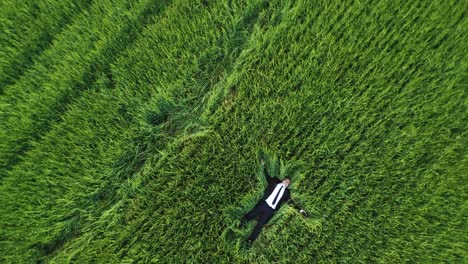 Businessman Relaxing in Green Grass Field
