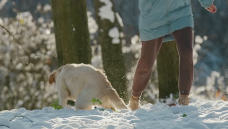 Pet-owner-running-in-the-snow-with-her-dog,-having-a-good-time-on-a-walk-in-the-winter-forest.-Slow-motion-video