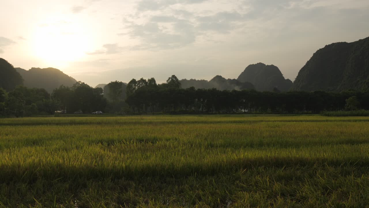 ทิวทัศน์มุมกว้างของนิงห์บิงห์ ประเทศเวียดนาม โดยมีแสงสีทองส่องสว่างทุ่งนาข้าวอันเขียวชอุ่ม