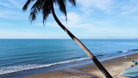 Elevador-Aéreo-Detrás-De-Una-Hermosa-Palmera-En-La-Playa-De-Mui-Ne,-Vietnam