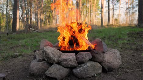 Burning-Campfire-in-the-forest